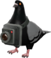 Painted Bird's Eye Viewer 141414.png