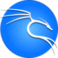 Kali linux distro.png