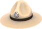 Painted Sergeant's Drill Hat C5AF91.png