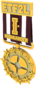 Unused Painted Tournament Medal - ETF2L Highlander 3B1F23 Season 6-16 Premiership Gold Medal.png