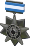 BLU Tournament Medal - Rasslabyxa Cup Participant.png