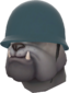 Painted War Dog 384248 Helmet.png