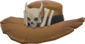 Painted Headhunter's Brim A57545.png