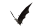 Item icon Guano.png