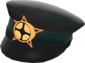 Unused Painted Heavy Artillery Officer's Cap 2F4F4F.png