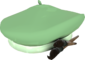 Painted Frenchman's Beret BCDDB3.png