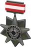 RED Tournament Medal - Rasslabyxa Cup Participant.png