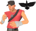 Quoth Scout.png