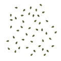 Frontline birch groundleaves 0 scatter.png