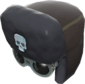 Painted Professional's Ushanka 18233D.png