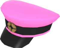 Painted Wiki Cap FF69B4.png