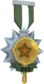 Painted Tournament Medal - Ready Steady Pan 424F3B Pantastic Playoff Champ.png