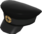 Painted Wiki Cap 141414.png