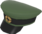 Painted Wiki Cap 424F3B.png