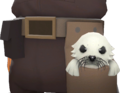 Clubsy The Seal Angry.png