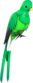 Painted Quizzical Quetzal 32CD32.png