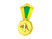 Tournament Medal - LAN Downunder