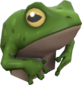 Painted Tropical Toad 729E42.png