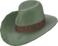 Painted Hat With No Name 424F3B.png