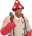 Caius Had Kritisk Toadstool Topper - Official TF2 Wiki | Official Team Fortress Wiki