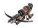 Crusader's Crossbow