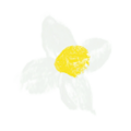 Paintkit Sticker Flower Power flower.png