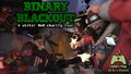 Binary Blackout blog promo.jpg