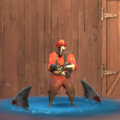 Unusual Shark Attack.png