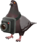Painted Bird's Eye Viewer 483838.png