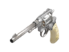 Item icon L'Étranger.png
