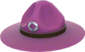 Painted Sergeant's Drill Hat 7D4071.png