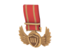 CLTF2 Tournament Bronze Medal