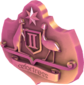 Unused Painted Tournament Medal - ozfortress OWL 6vs6 FF69B4 Regular Divisions Second Place.png