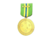 Tournament Medal - FBTF 4v4