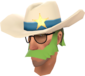 Painted Lone Star 729E42 BLU.png