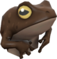 Painted Tropical Toad 694D3A.png