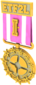 Unused Painted Tournament Medal - ETF2L 6v6 FF69B4 Season 18-30 Premiership Gold Medal.png