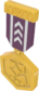 Painted Tournament Medal - TF2Connexion 51384A.png