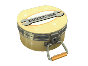 Item icon Mayflower Cosmetic Case.png