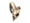 Item icon Skull Island Topper.png