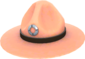 Sergeant's Drill Hat - Official TF2 Wiki | Official Team Fortress Wiki