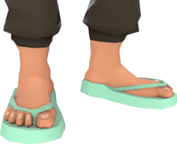 aqua flip flops
