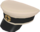 Painted Wiki Cap A89A8C.png